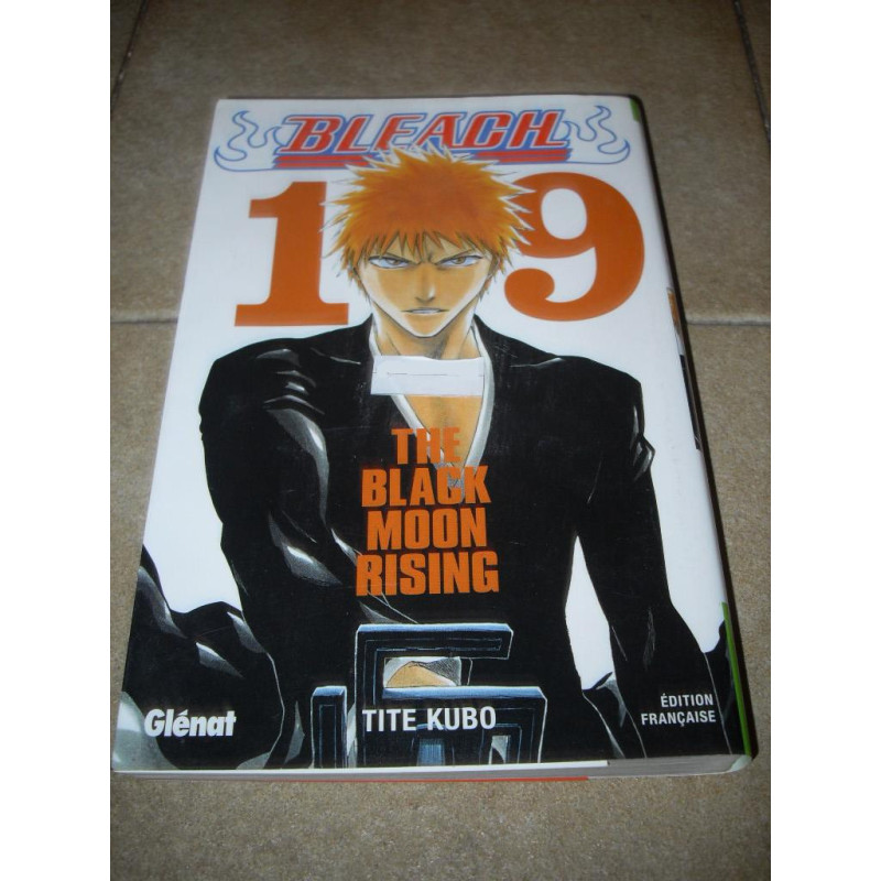 Bleach Tome 19 [Manga]