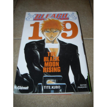 Bleach Tome 19 [Manga]