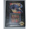 Risky Woods (US) [Jeu vidéo Sega Megadrive]